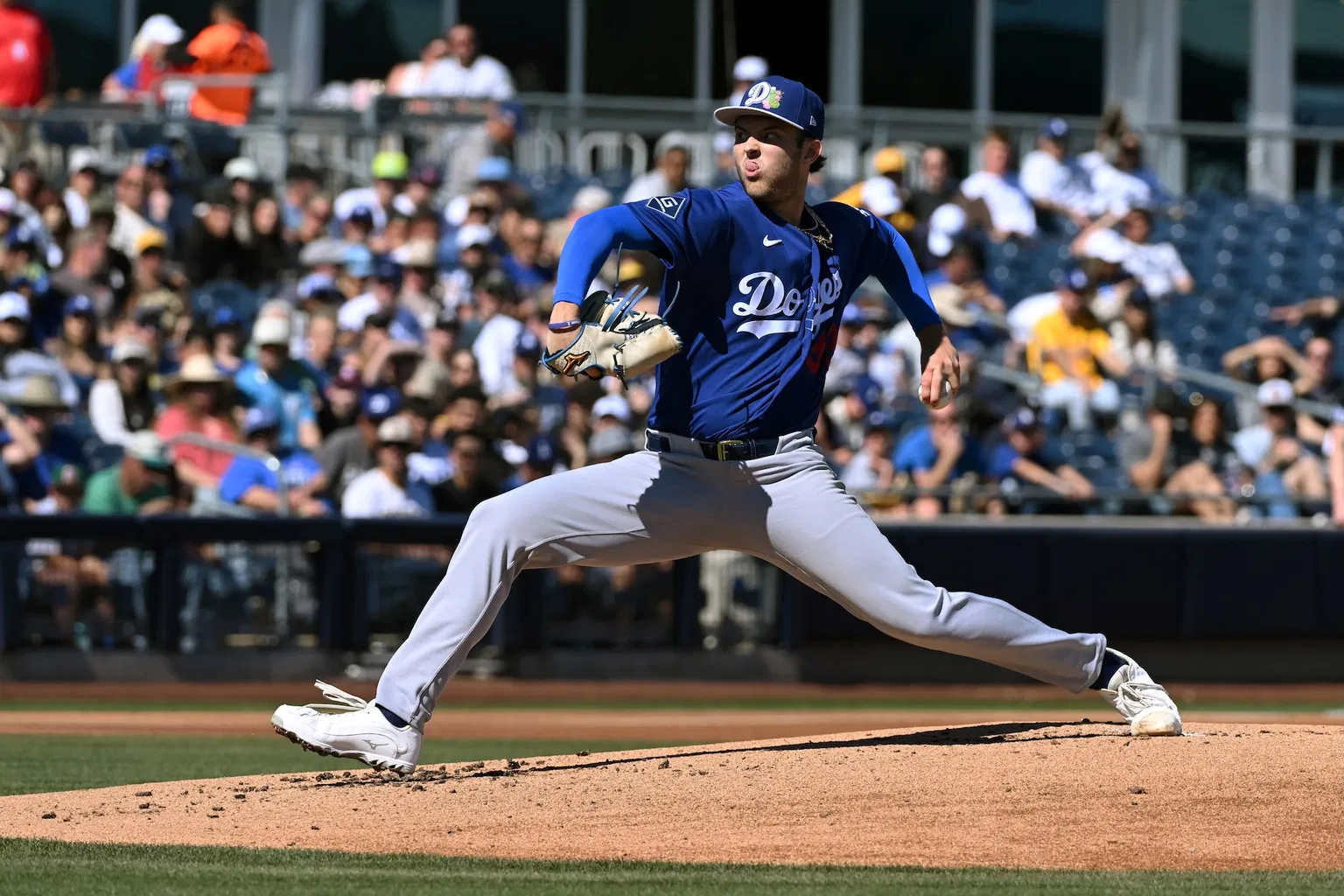 How Major League Baseball Works: Structure, Rules & Season Explained