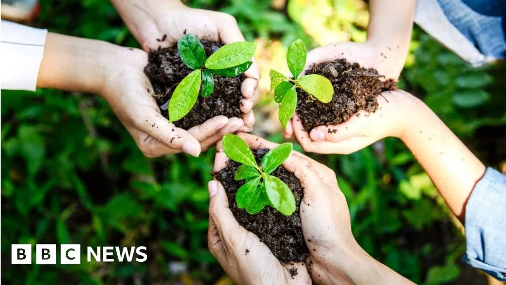 Earth Day Explained: When It Is, History, and How to Celebrate