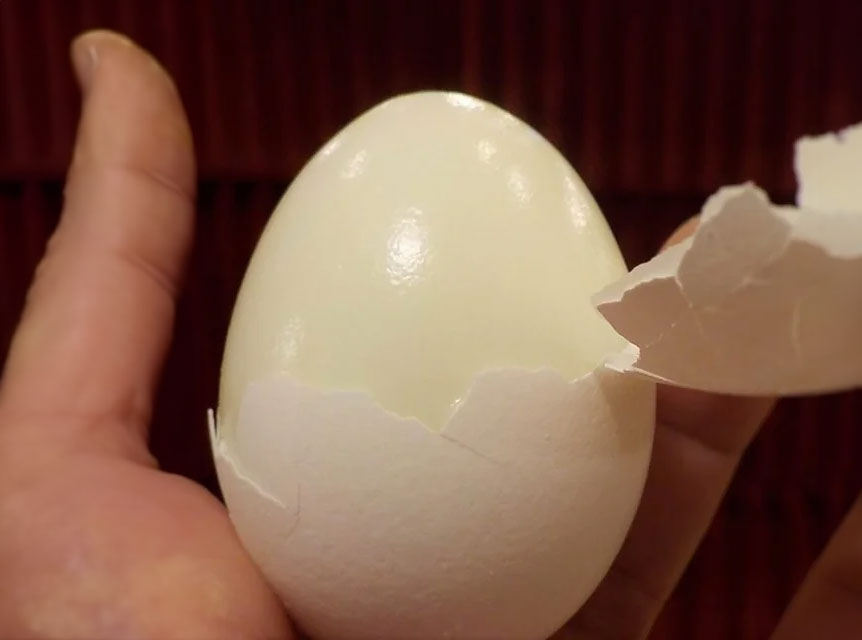 cracking the shell surprising facts about eggs you didn t know_9b6c90e4 2abd 45c8 bec0 20c00320408e