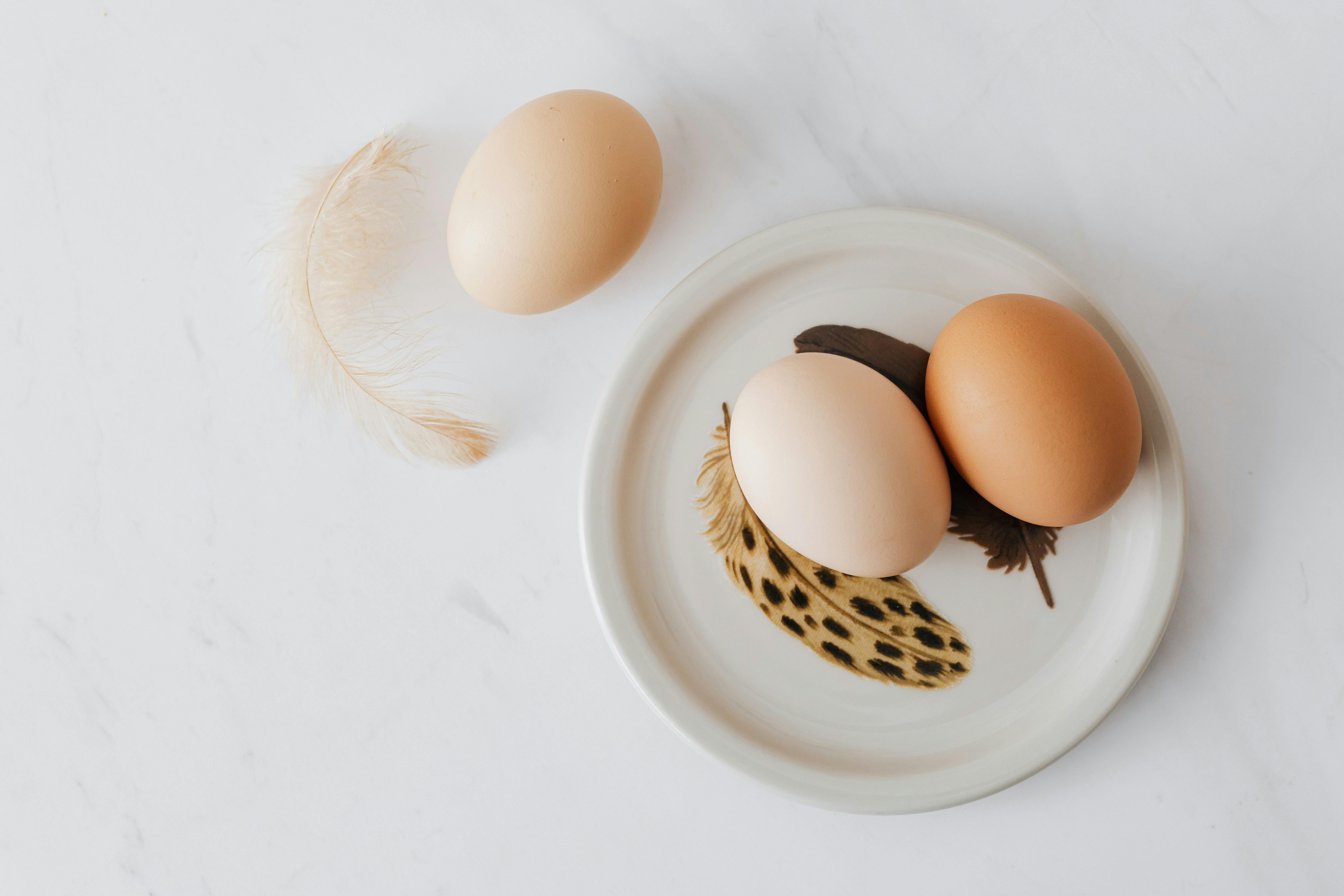 cracking the shell surprising facts about eggs you didn t know_bfad3494 b786 4c19 8839 37517f226dab