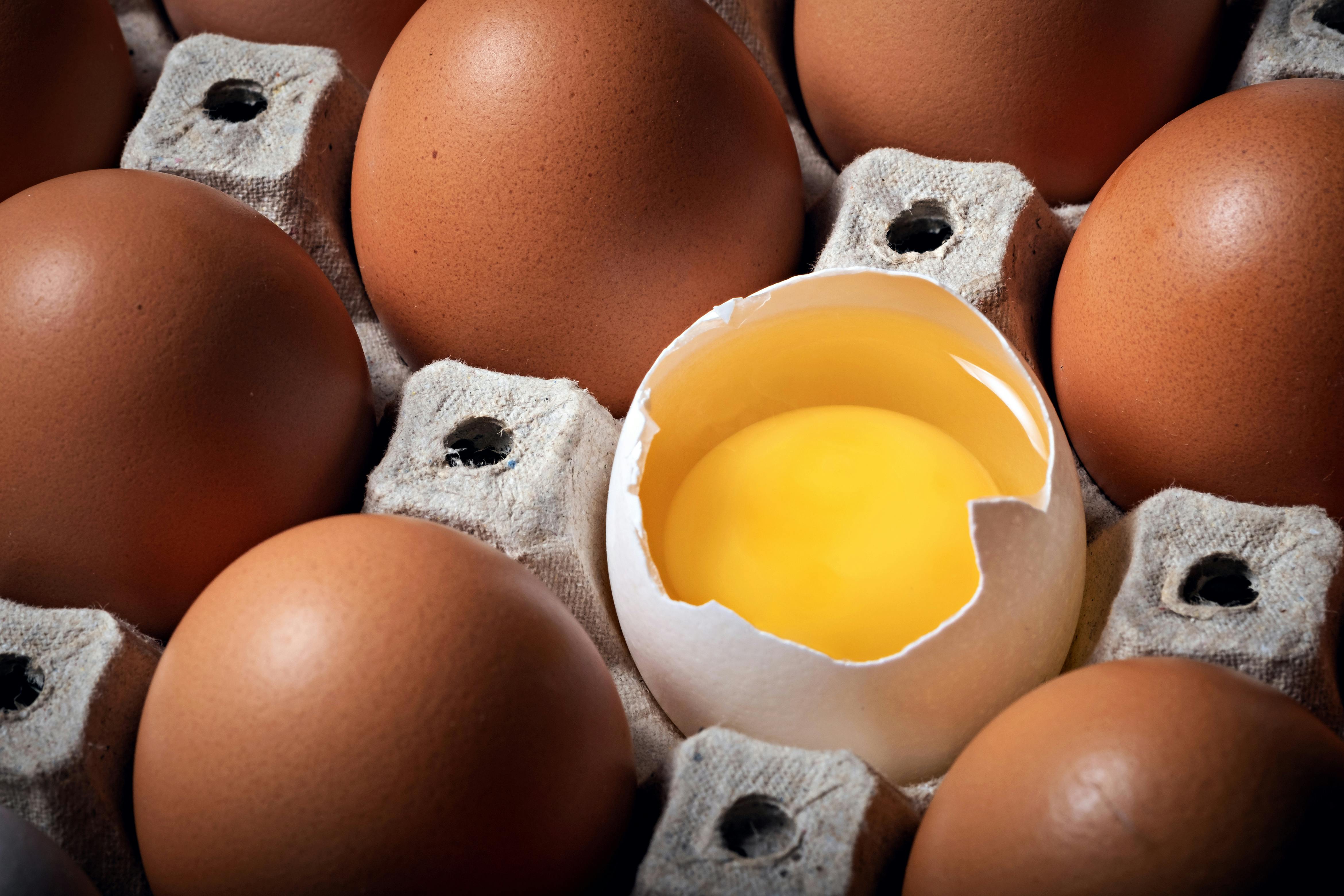 cracking the shell surprising facts about eggs you didn t know_f913fb3c 6802 4c80 9343 e71c6765c321