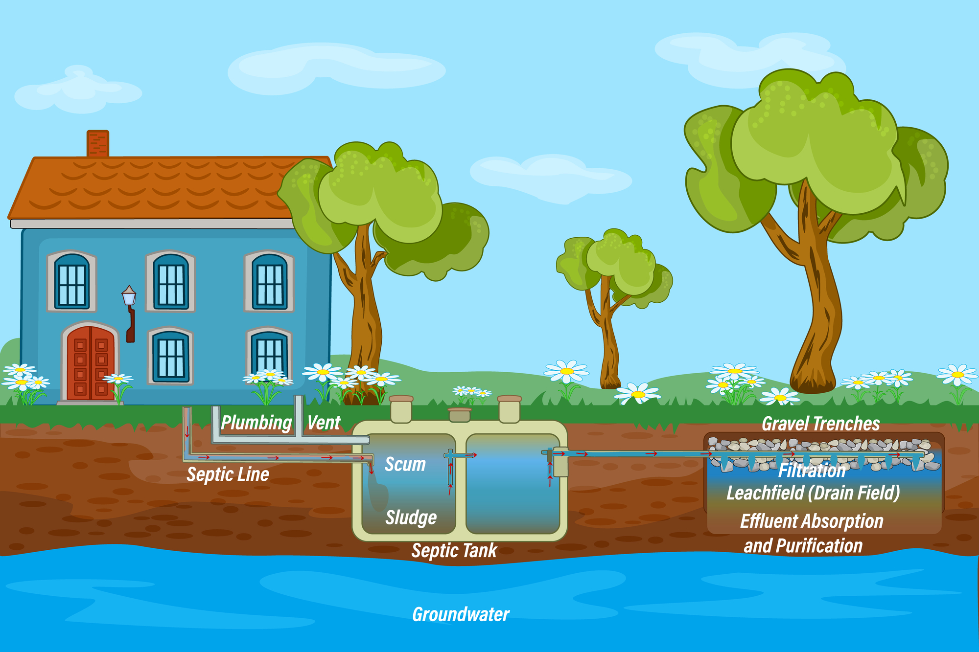 just how often should you clean your septic tank _761e6100 ef49 4230 9408 7c8f41b06771