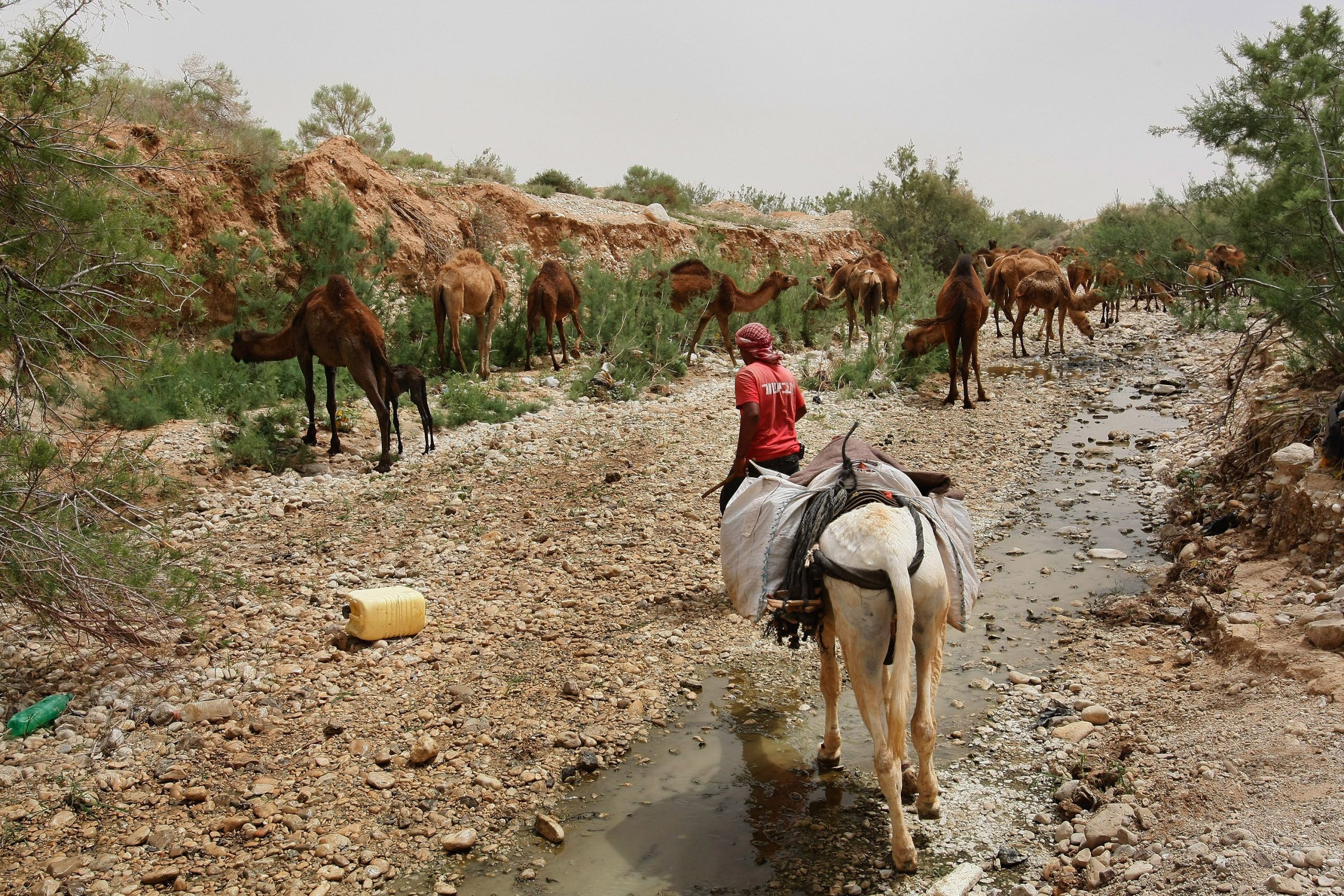 what you didn t know about the jordan river_bba091d5 915e 49d6 a506 1452a6336639