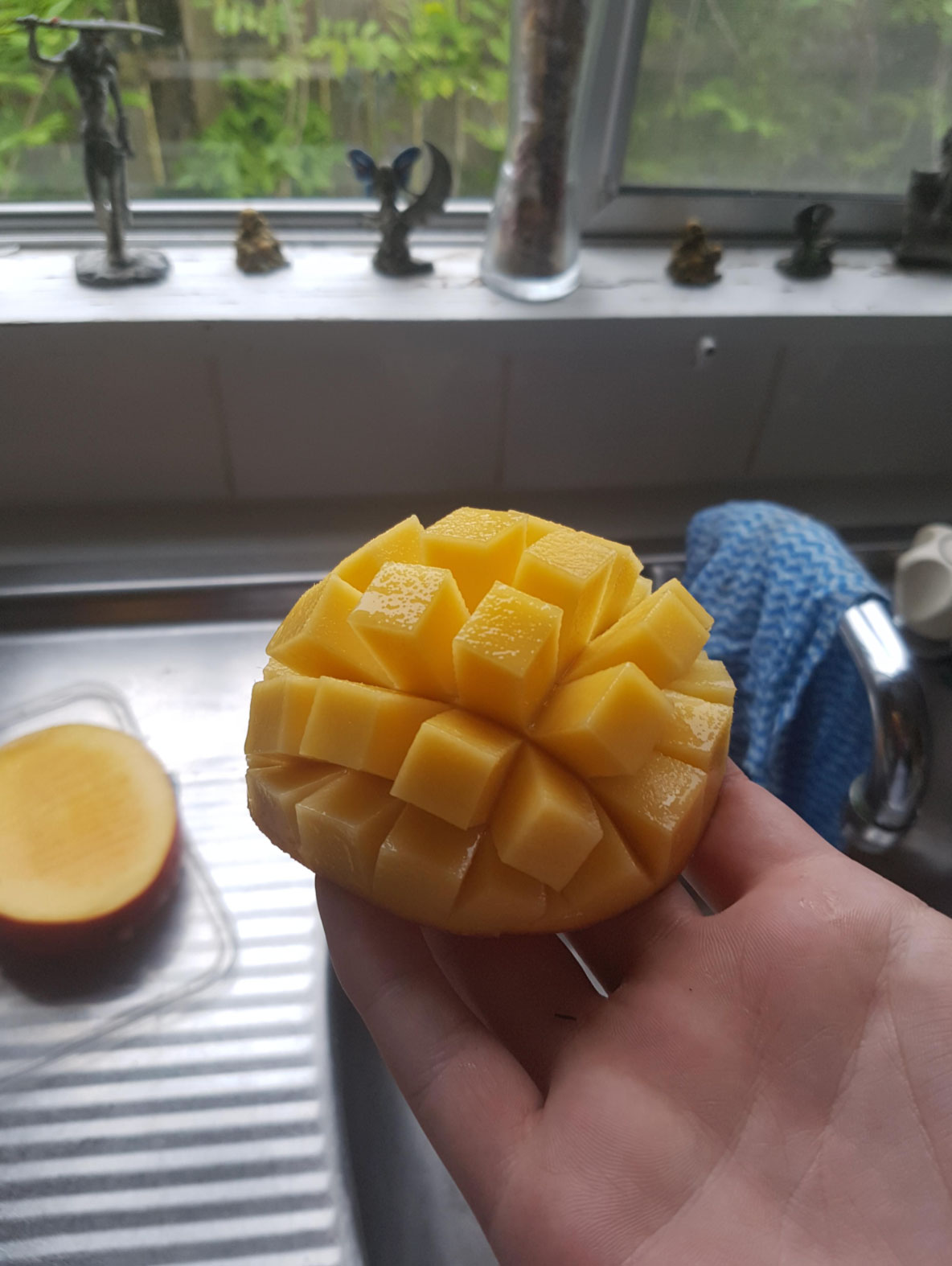 how do you know when mangos are ripe_a9a39a99 19b3 482f 8358 88dbf84e48a2
