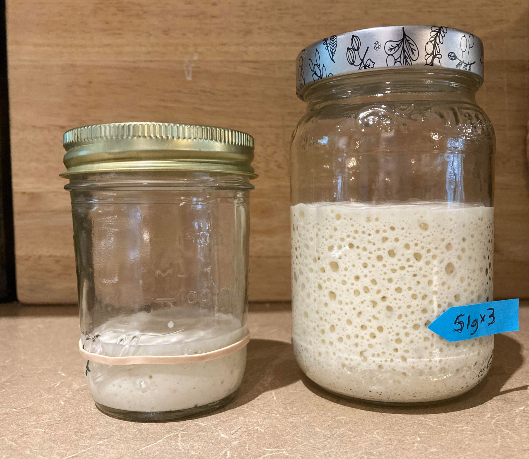 is my sourdough starter ready_1becf77d 5cbf 440e 9403 b34dbf87bf07