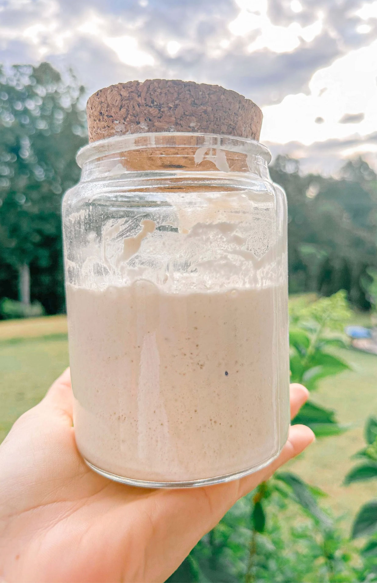 is my sourdough starter ready_23ccf4f5 f79f 4173 a125 6a9c7255b915