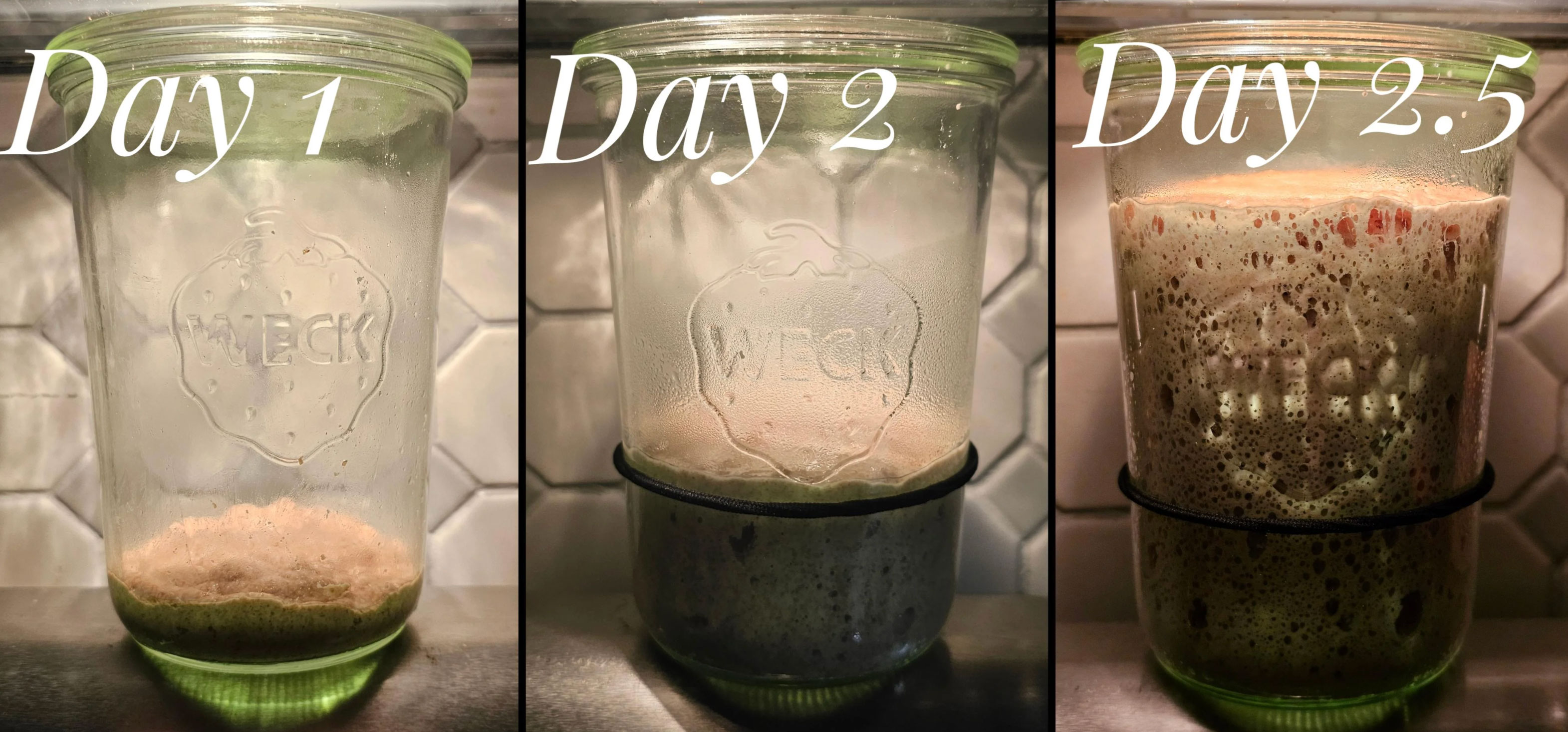 is my sourdough starter ready_3db09a32 e875 451d a9bb 644ab4e4cc06