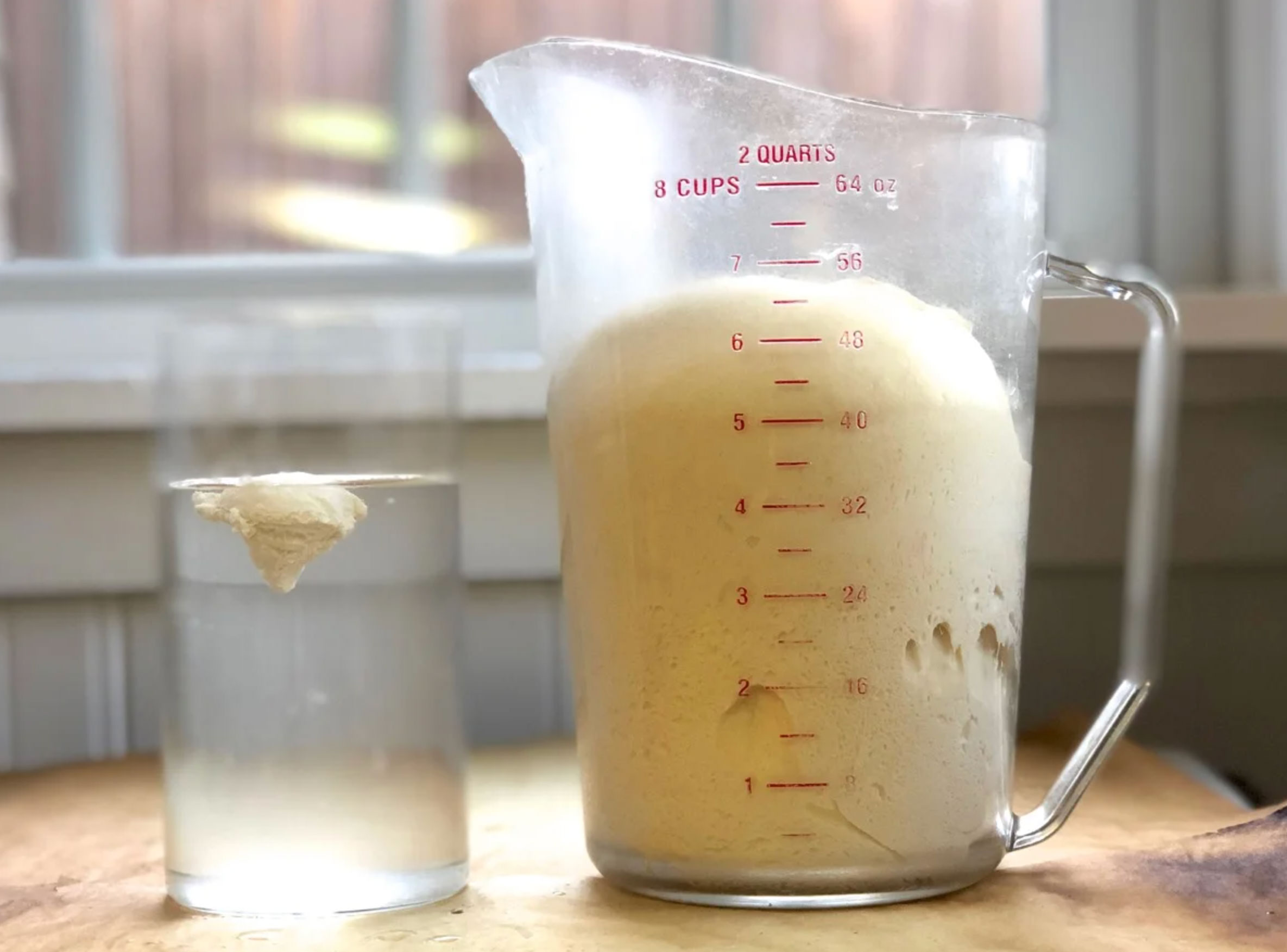 is my sourdough starter ready_76c9c161 5800 4be7 b13a 6fc9afb0b12b