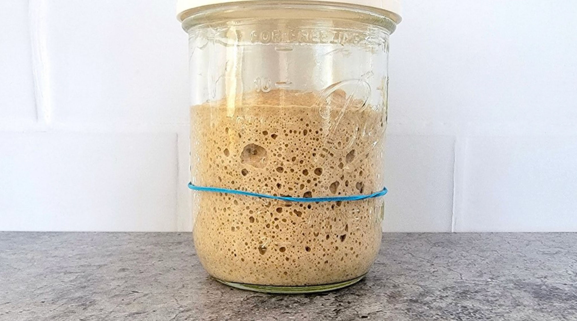 is my sourdough starter ready_7c24f7ca 6e9c 4697 96d0 7a5cf983f45c