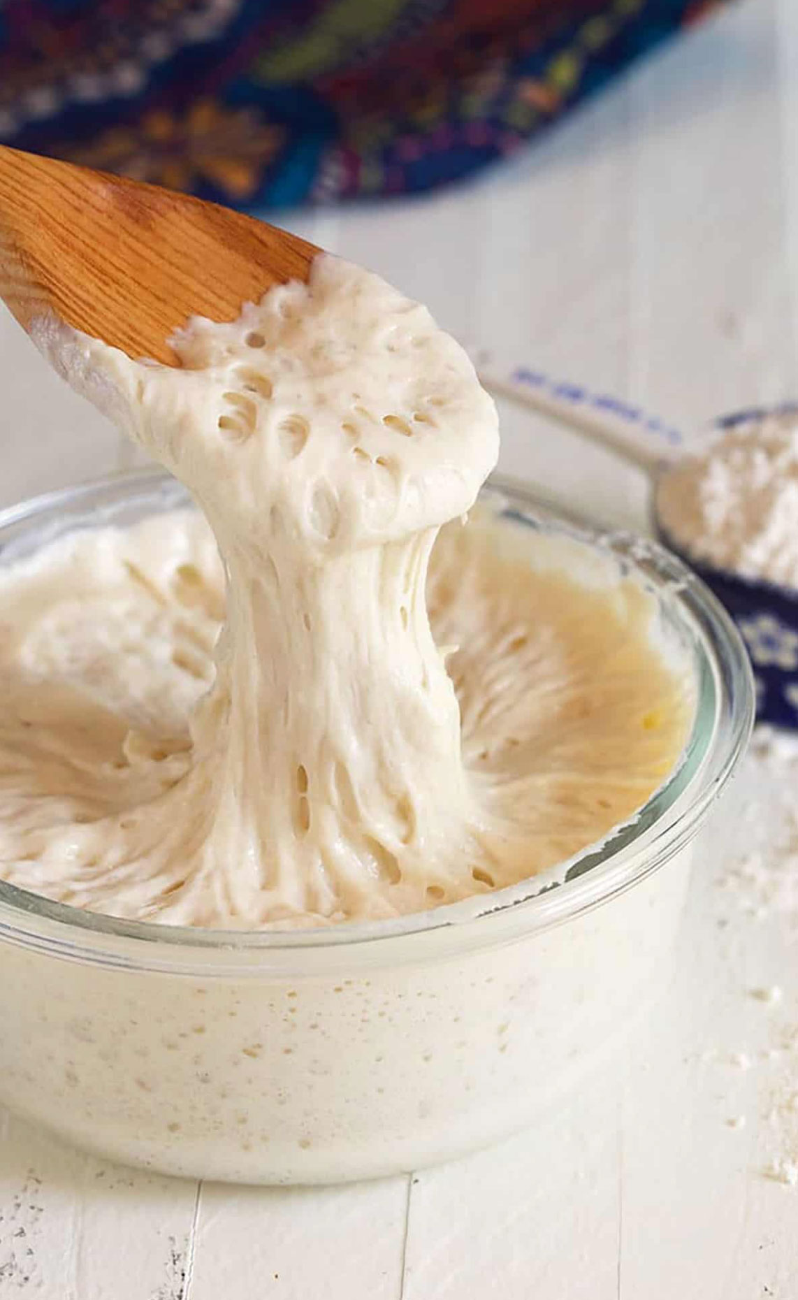 is my sourdough starter ready_848c2b5d 08db 40de 9674 291d4bf1af5a