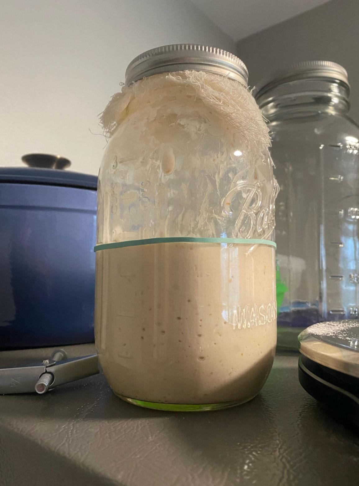is my sourdough starter ready_e57e8ff7 4c40 4a57 9538 006e7e582b4c