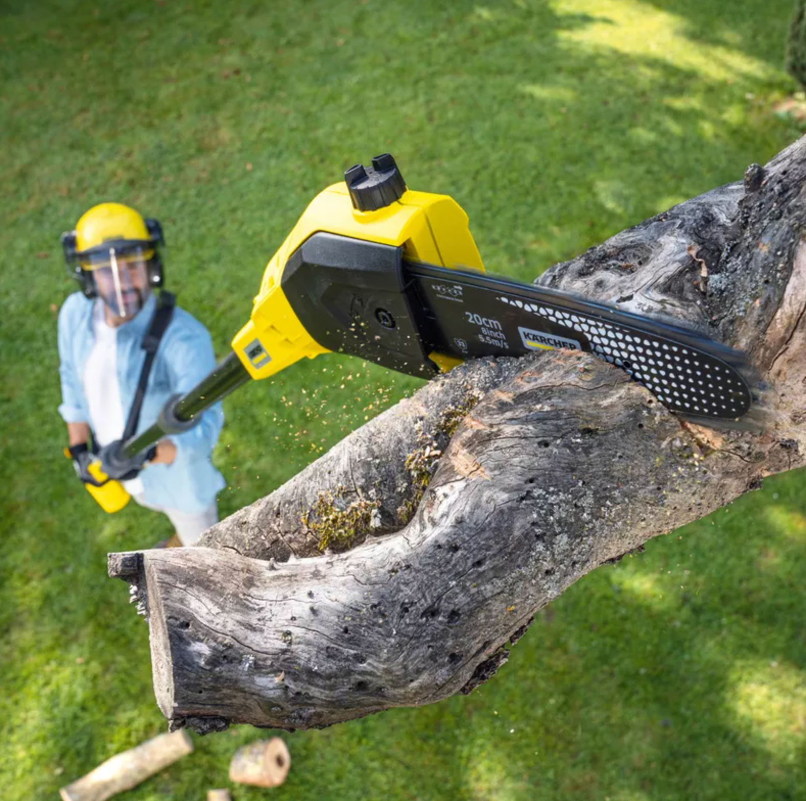 tree cutting safety mistakes to avoid_563d692b 8459 420d afd3 65e093d23fb6