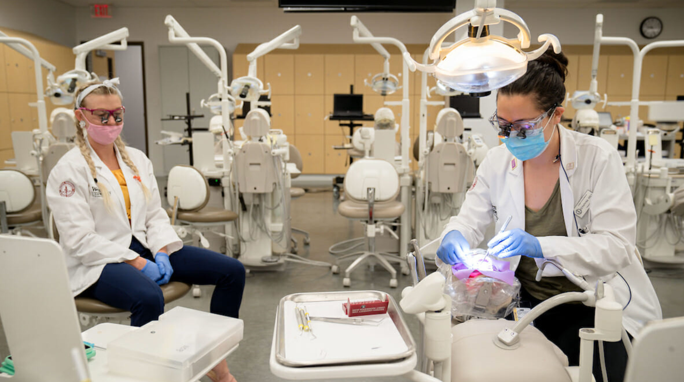 thinking about dental school read this first_4797c593 9923 49cb 96b3 054323ffd887