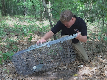 1780842204618_JimGillis_TrappingTegus_RickLavender_DNR_20190501