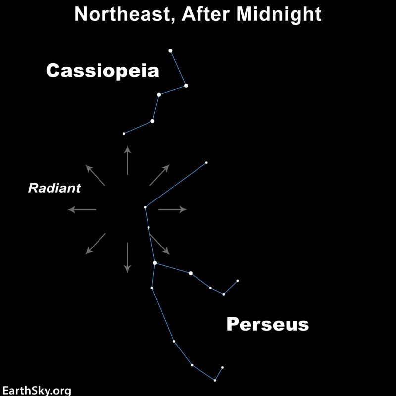 1786633543023_perseid meteor shower radiant point 1500px e1628630279557