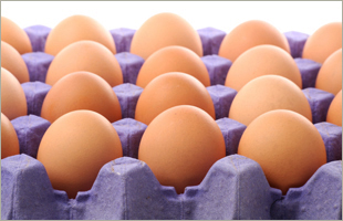 1786892301387_CFSAN Egg Safety Final Rule  eggs  e99s