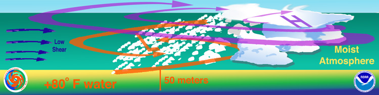 1786977982220_formations